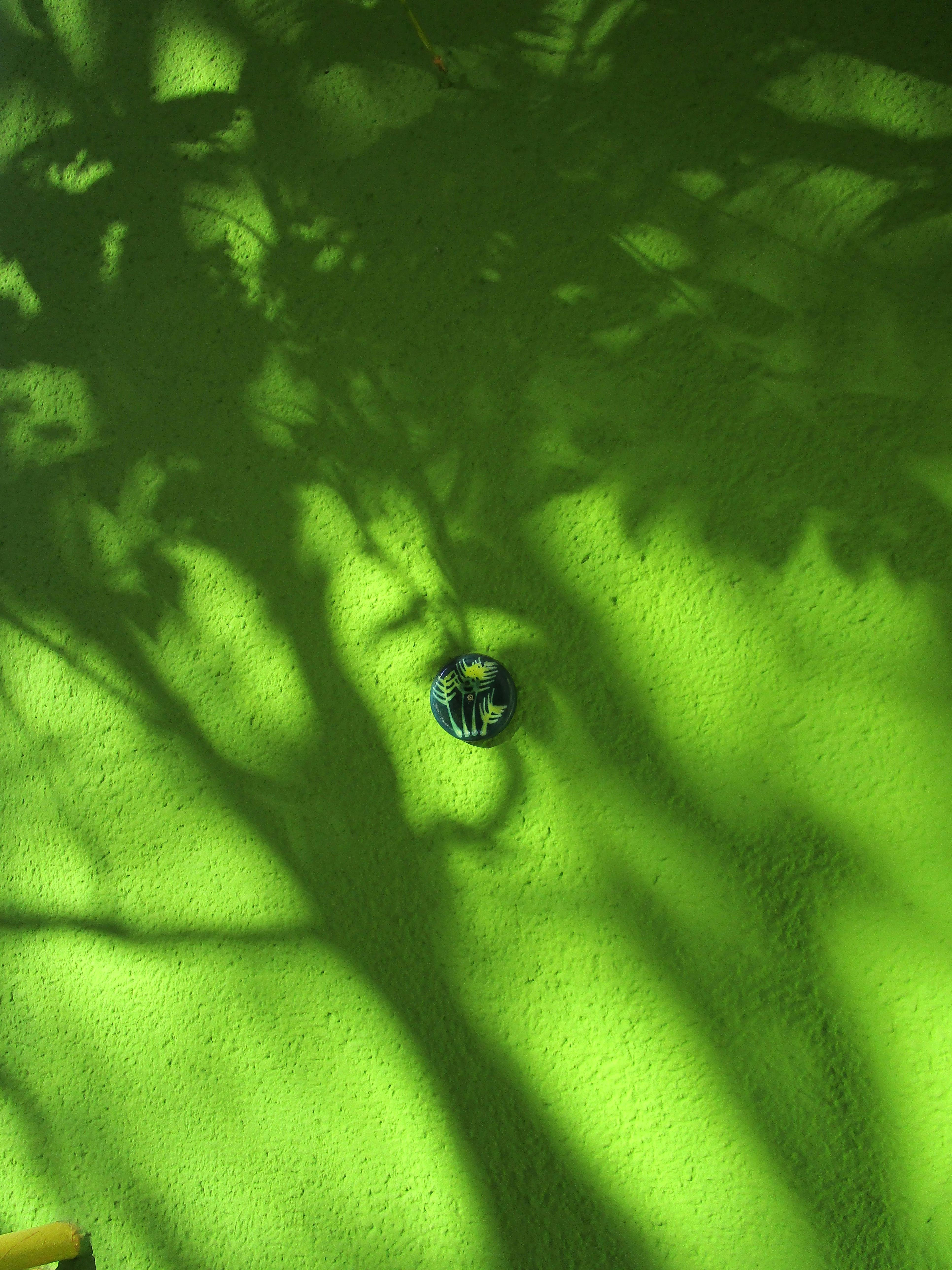 绿色墙壁上，阴影与小装饰的特写共同构成了艺术图案