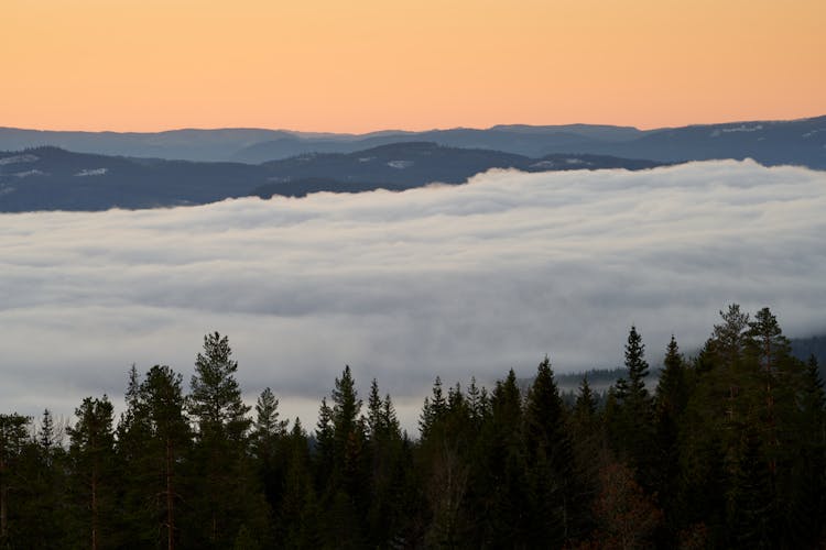 Thick Clouds Above Forest In Valley