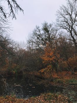 A tranquil autumn scene featuring a still pond surrounded by bare trees and colorful foliage.