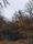 pond