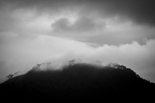 무료 구름, 그레이스케일, 나무의 무료 스톡 사진