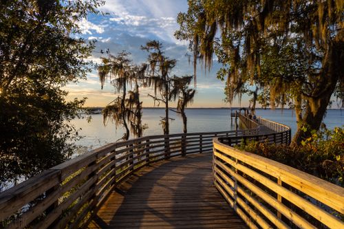 Free A tranquil boardwalk over a lake during sunset, framed by trees with hanging moss. Stock Photo