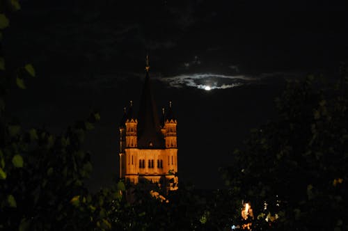 Foto d'estoc gratuïta de colònia, dracula, nit