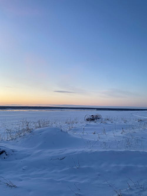 Fotobanka s bezplatnými fotkami na tému chladný, hracie pole, sezóna