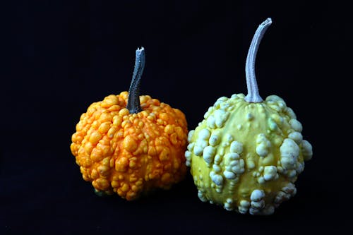 Free Pumpkins With Black Background Stock Photo