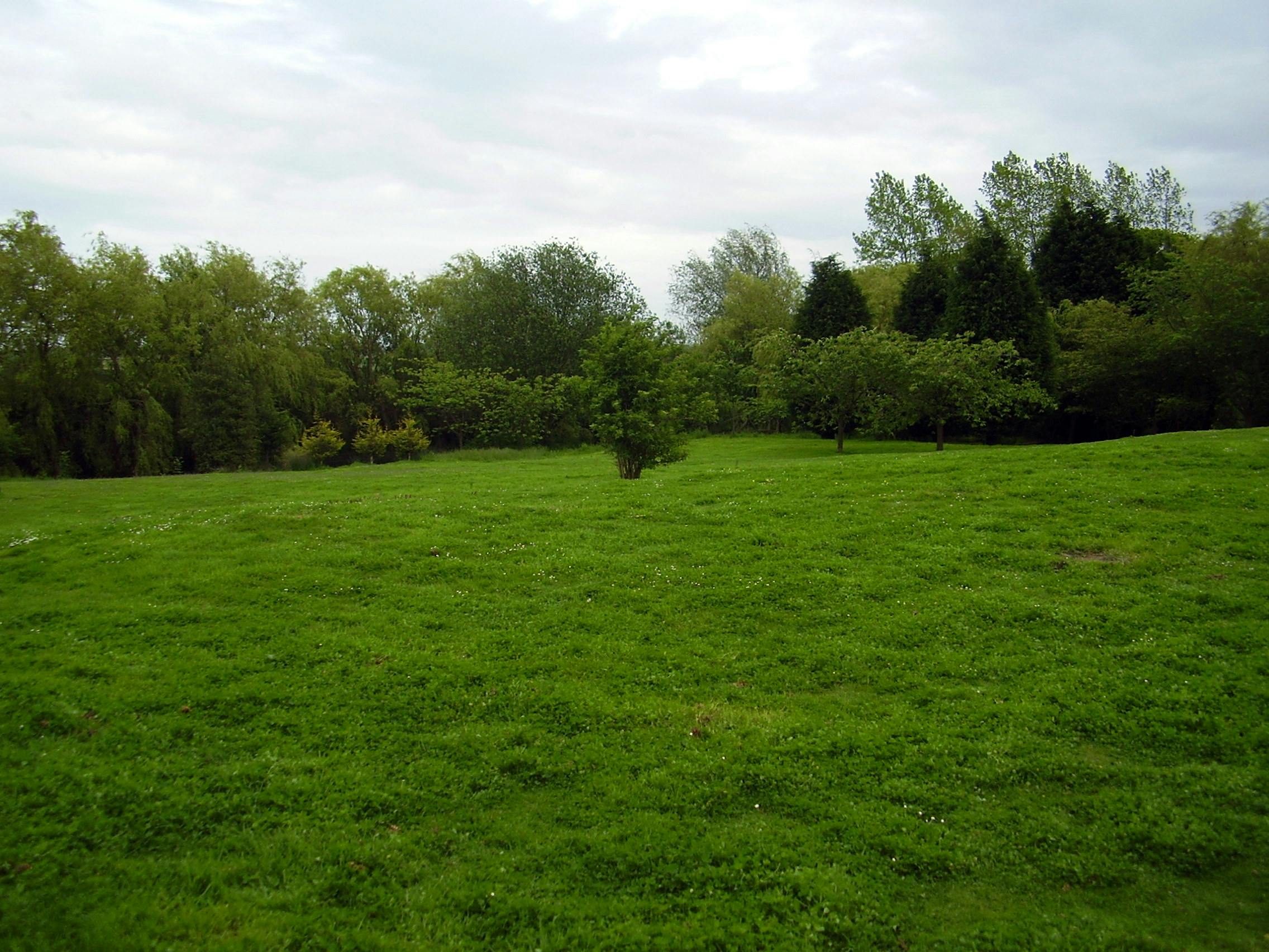 Free stock photo of farmland, garden, grassland
