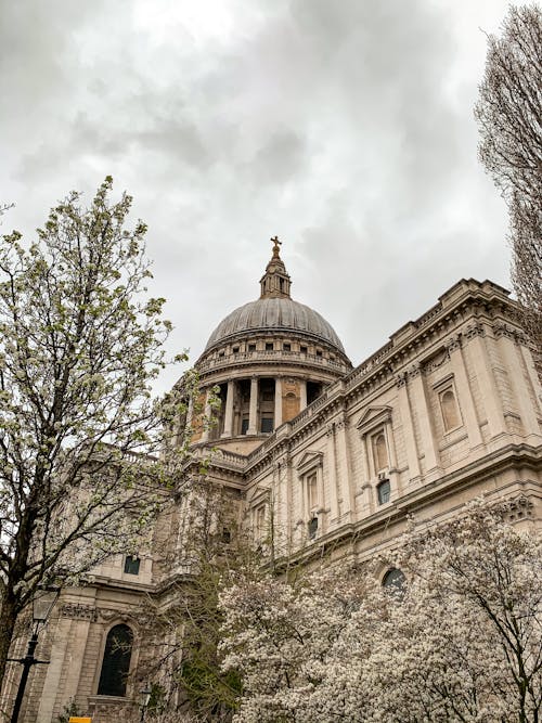 Immagine gratuita di alberi, architettura, cattedrale