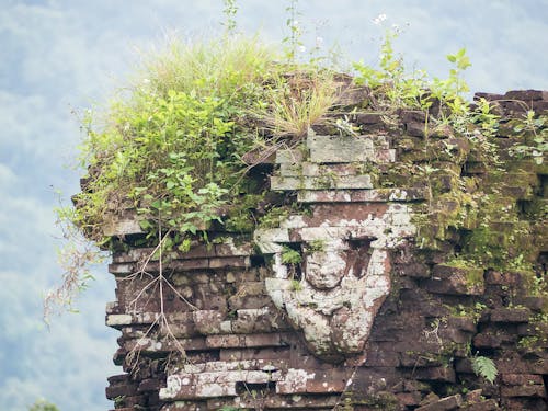 Free stock photo of ancient, overgrown, temple