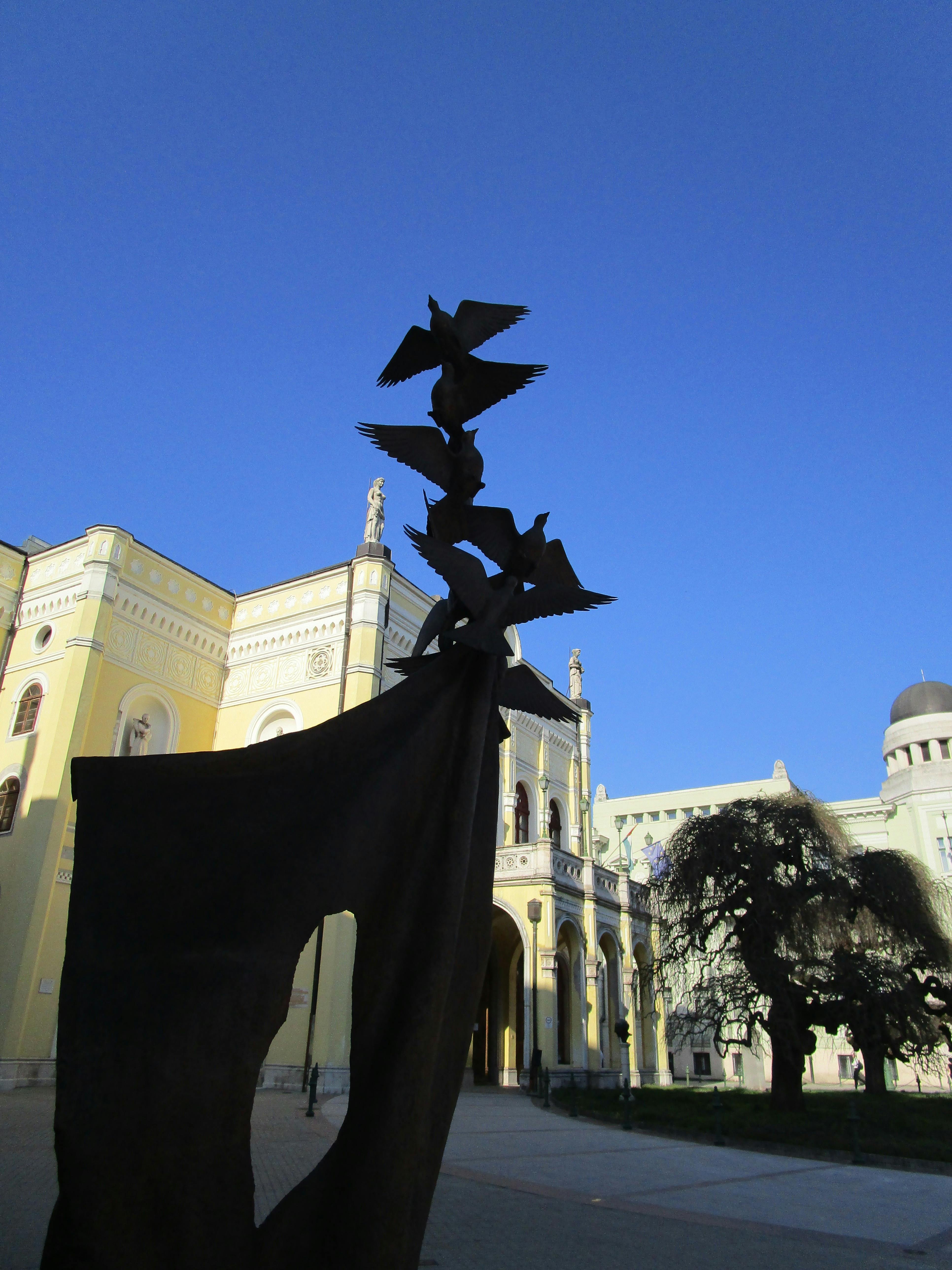 Free stock photo of birds of freedom - memorial sculpture in Debrecen
