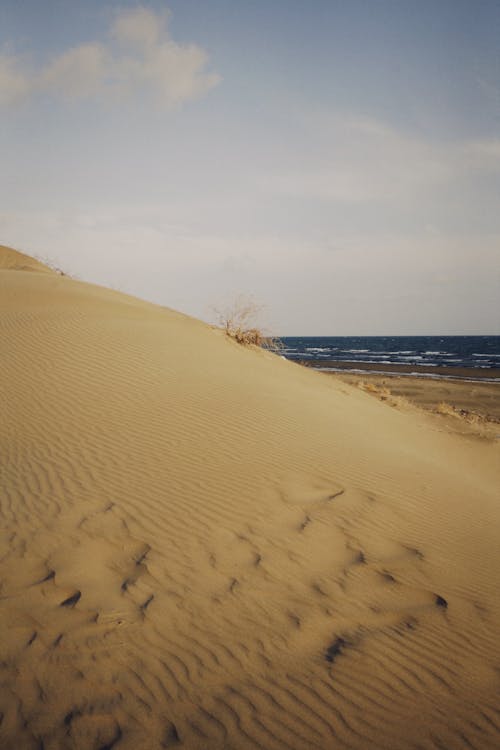 Photos gratuites de aride, bord de mer, désert