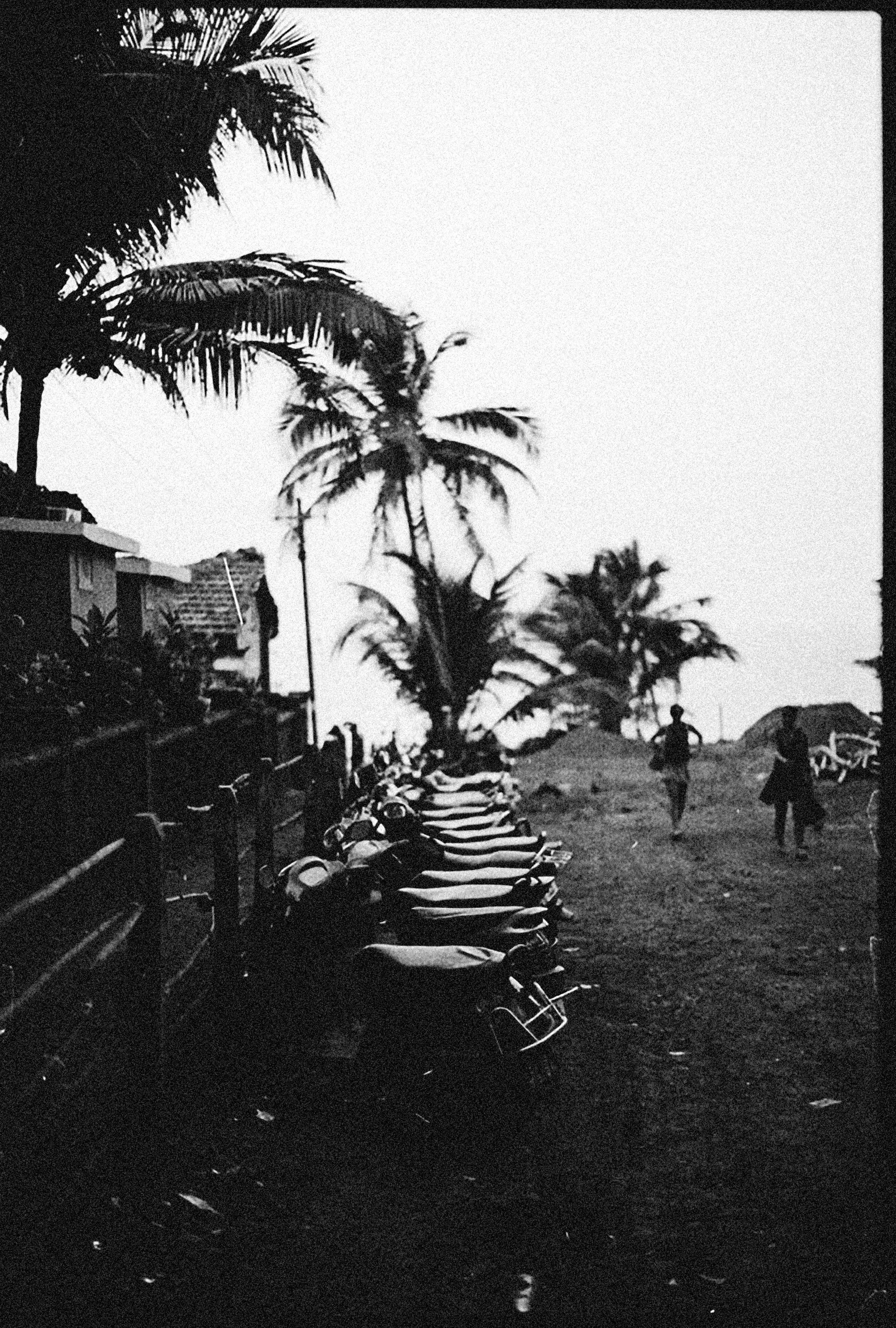 Scooters on Seashore · Free Stock Photo