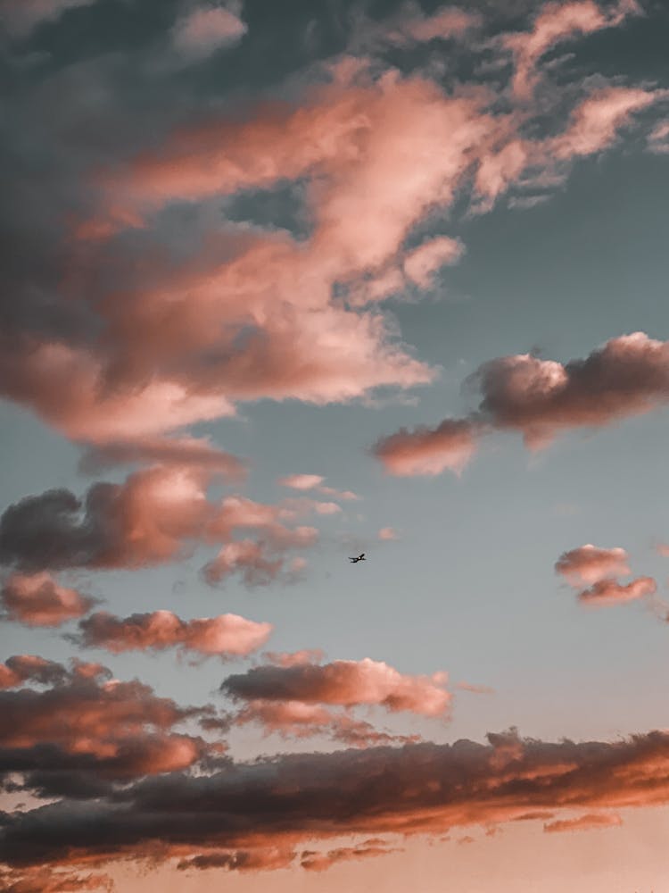 A Bird Flying Under Cloudy Sky During Sunset