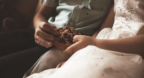 Free People Holding a Chocolate Chip Cookie Stock Photo