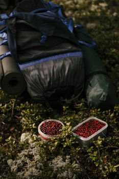 Cranberries