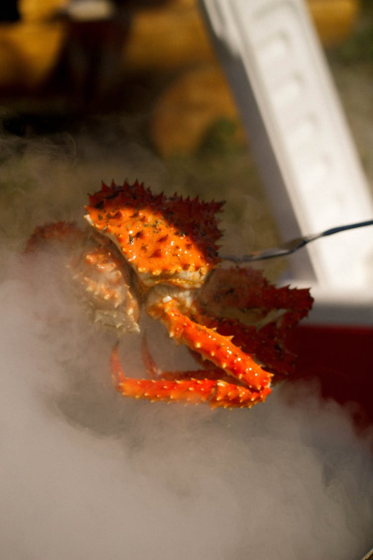 Red Crab In Cloudy Water