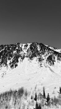 Black-and-white image of a snow-covered mountain with evergreen trees under a clear sky.