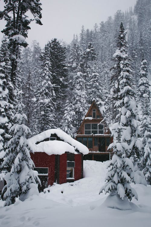 Wooden Houses on a Snow-Covered Field