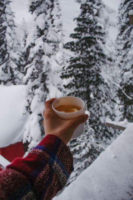 Hand holding a warm cup of tea against a snowy winter landscape.