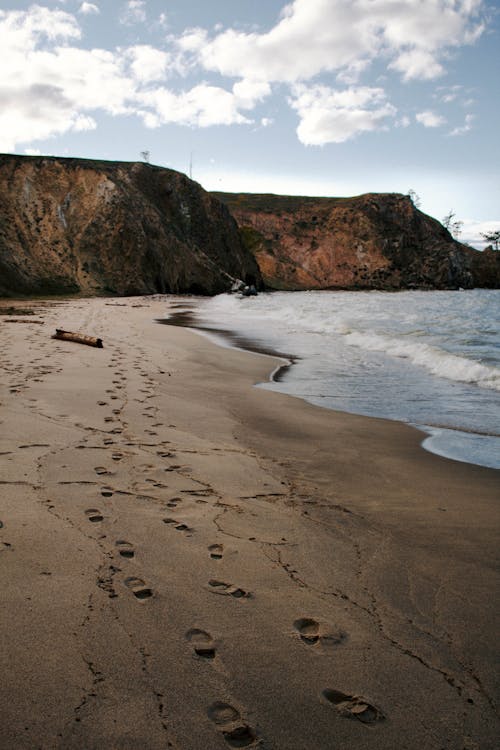 Безкоштовне стокове фото на тему «берег, берег моря, відпустка»
