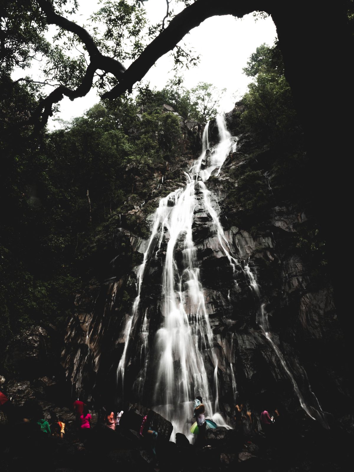 Digital marketing agency in Bomdila Arunachal Pradesh for apple kiwi orchard and gateway tourism businesses