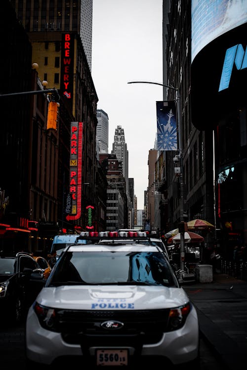 Photo of Cars in the City