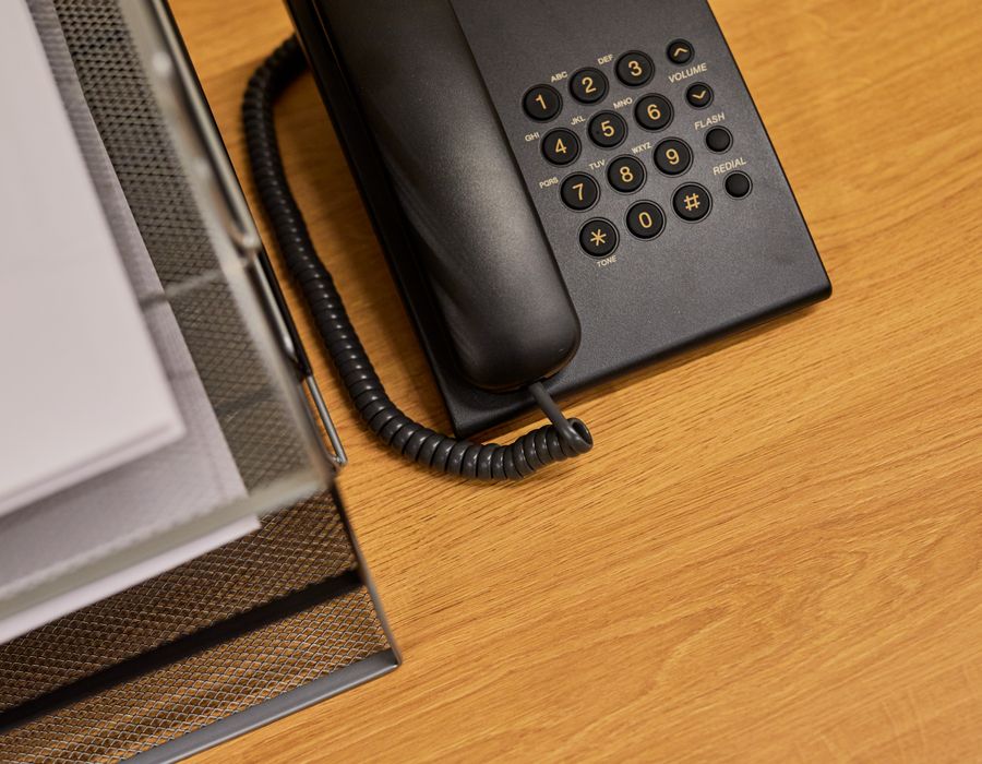 IP Telefon Pro 100