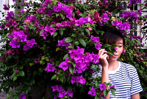 Close-Up Photography of Woman Near Purple Bougainvillea