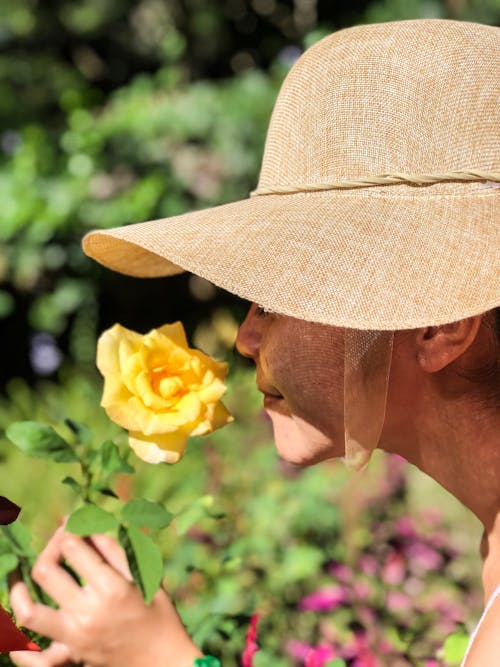 Free Woman Wearing Sun Hat Smelling Yellow Rose Stock Photo