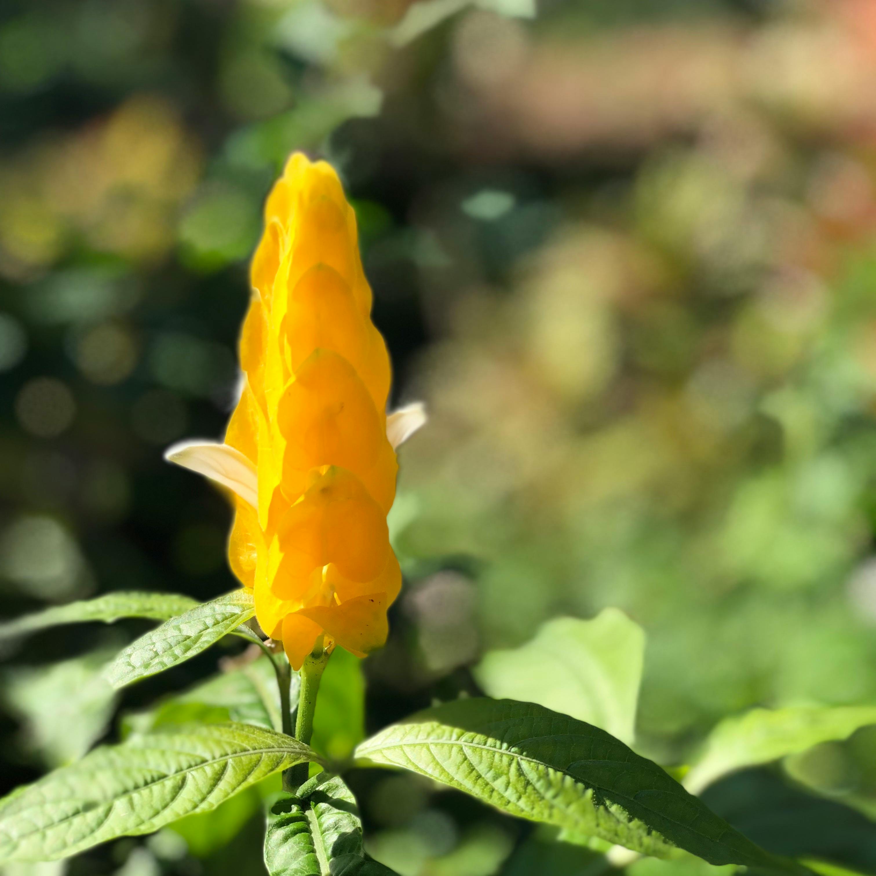 Control de videojuego y pantalla con gráficos de juego de acción