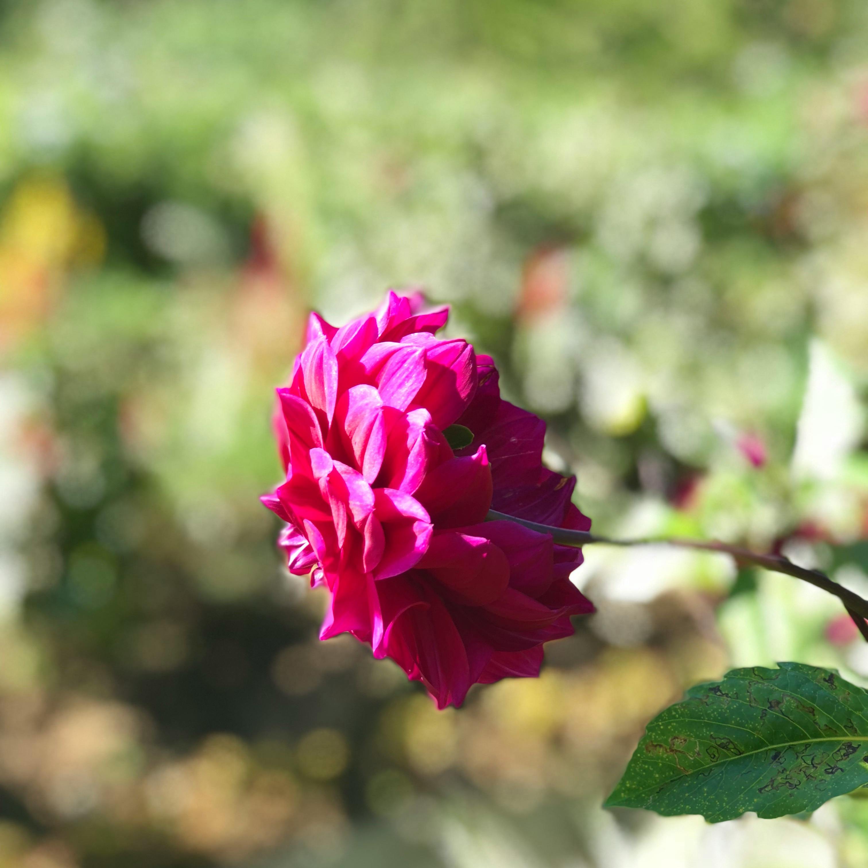 다낭 미케 비치 풍경