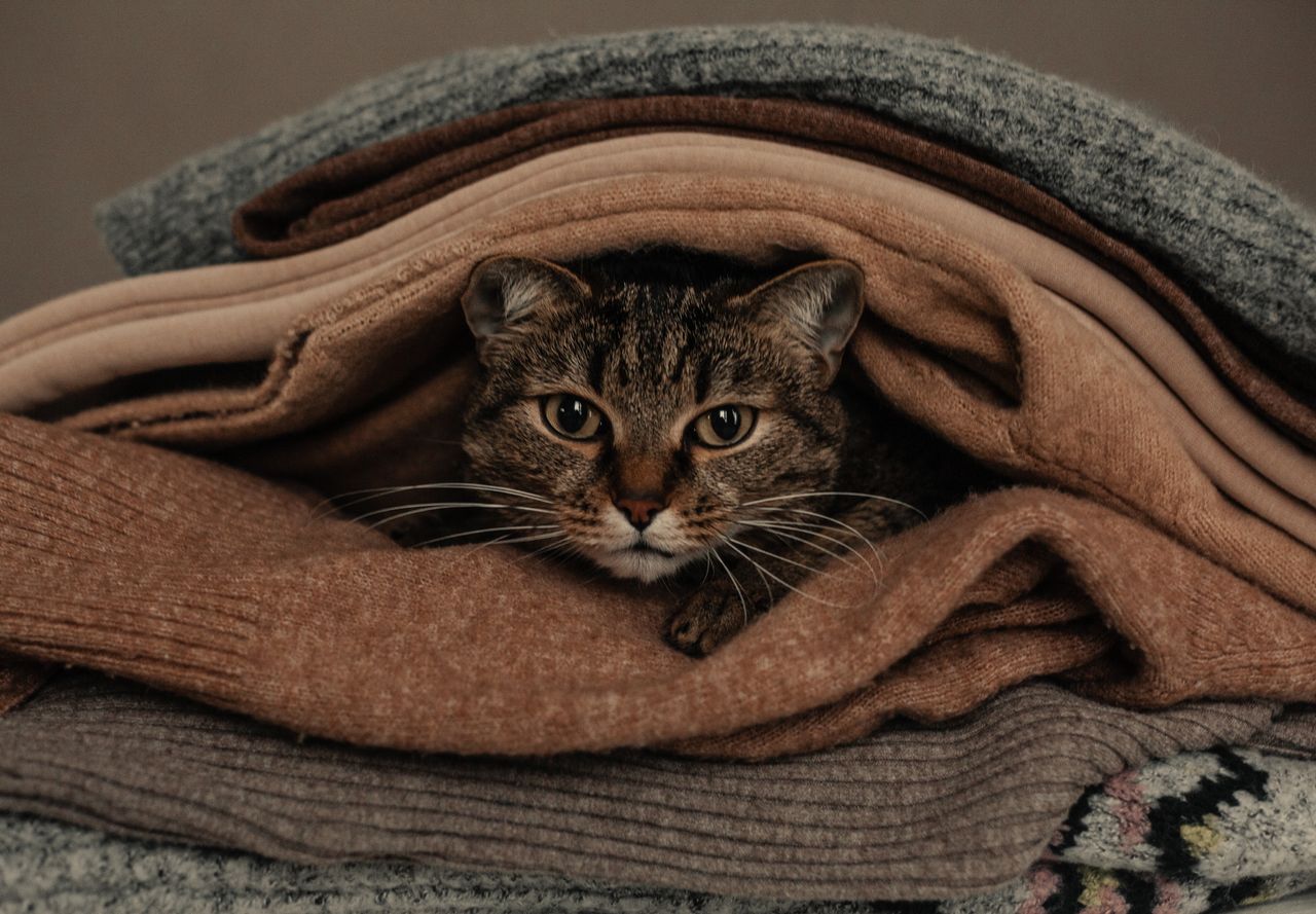 Neatly folded stack of soft wool blankets and knitted throws in warm neutral colours
