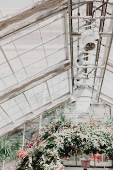 Glass veranda in a beautiful garden setting