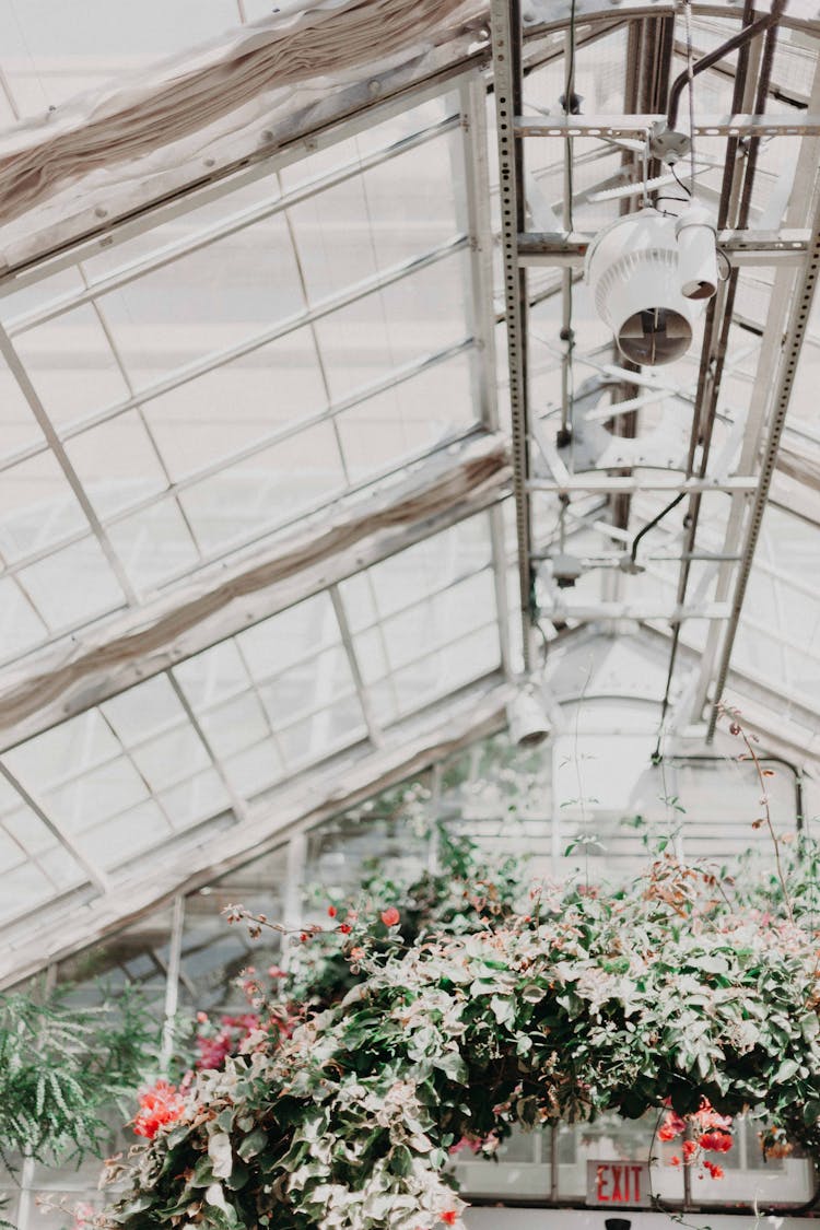 Interior View Of Glass House