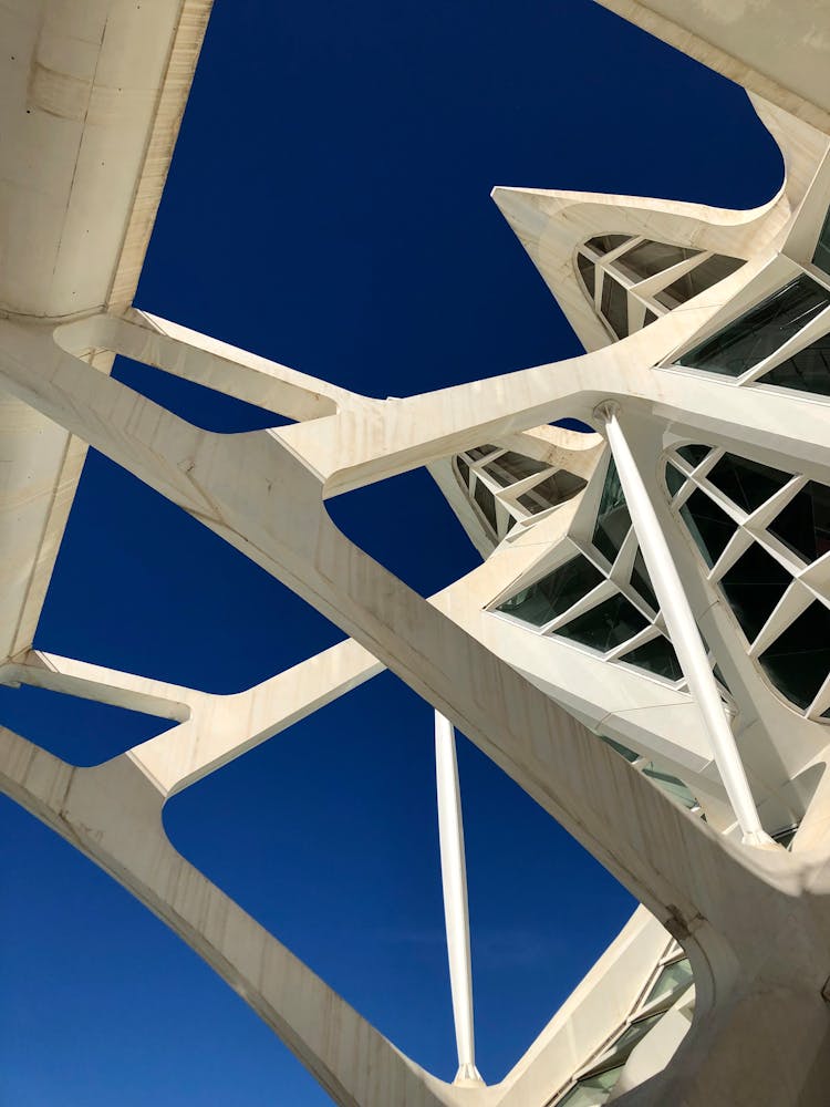 Low Angle View Of The Exterior Of Prince Philip Science Museum, Valencia, Spain 