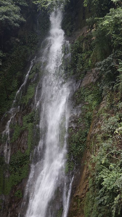 Free A stunning vertical waterfall cascading down a verdant cliffside, surrounded by lush vegetation. Stock Photo