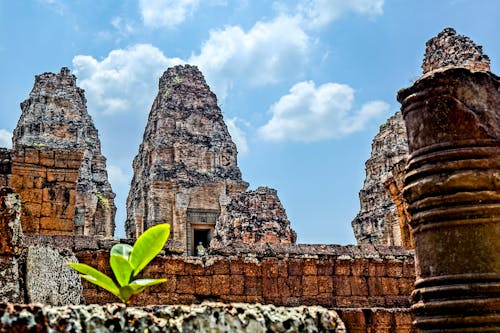 Gratis lagerfoto af cambodia