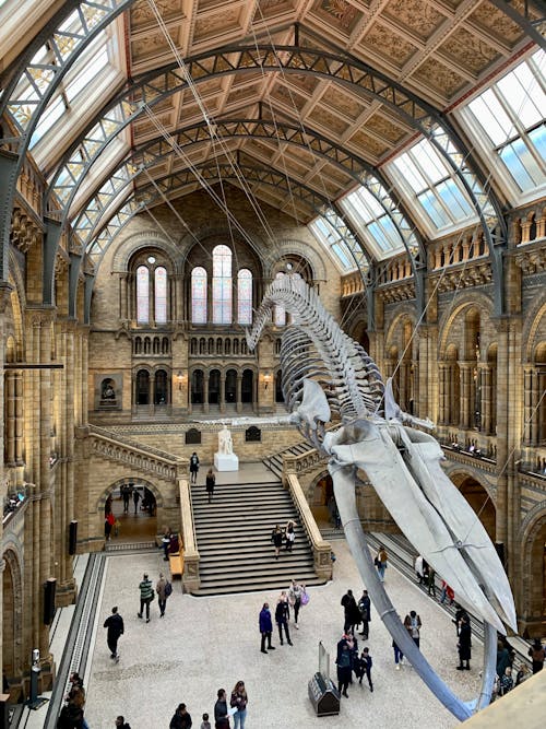 倫敦, 博物館, 垂直拍攝 的 免費圖庫相片