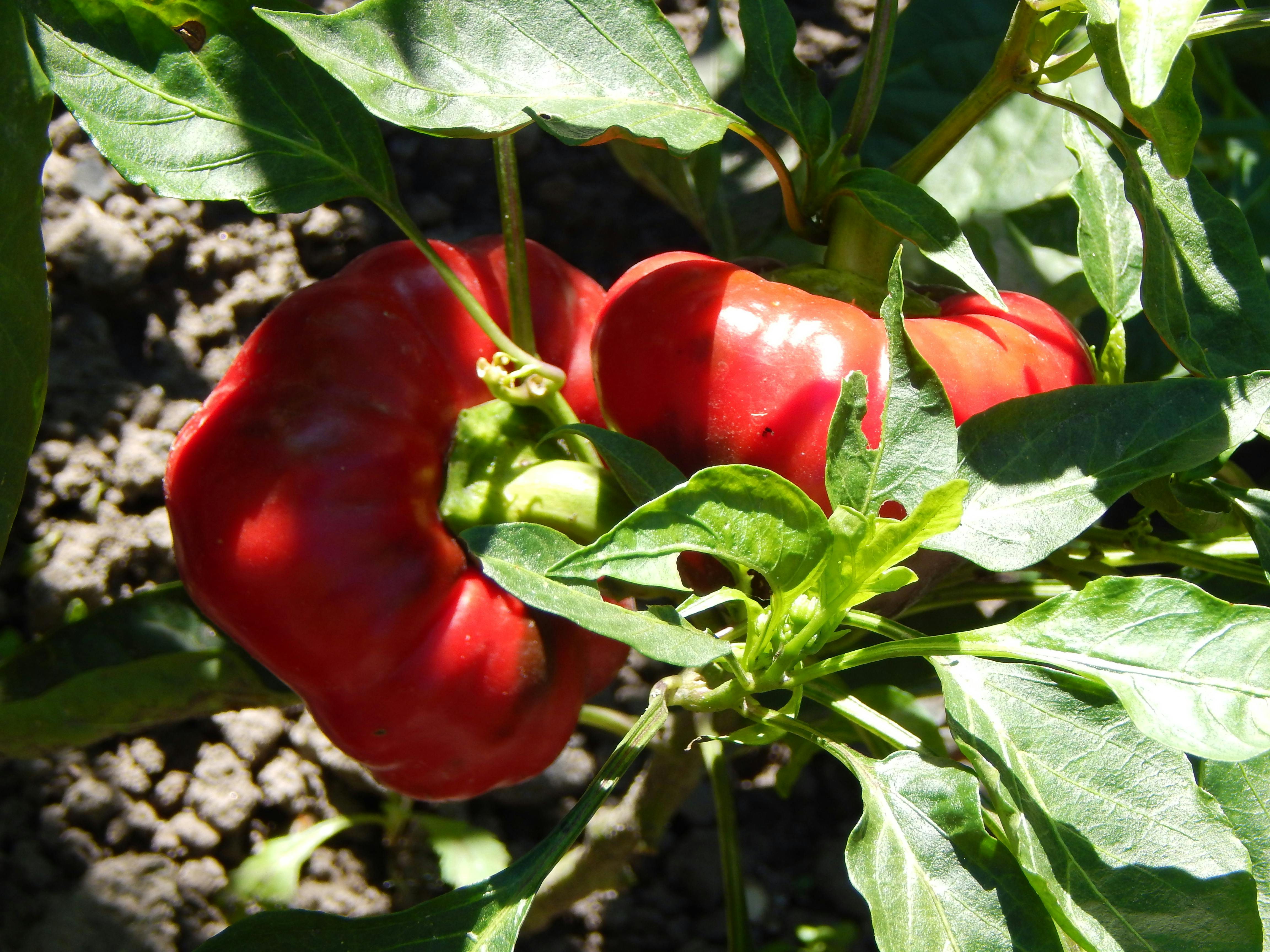 자동차 계약 서류