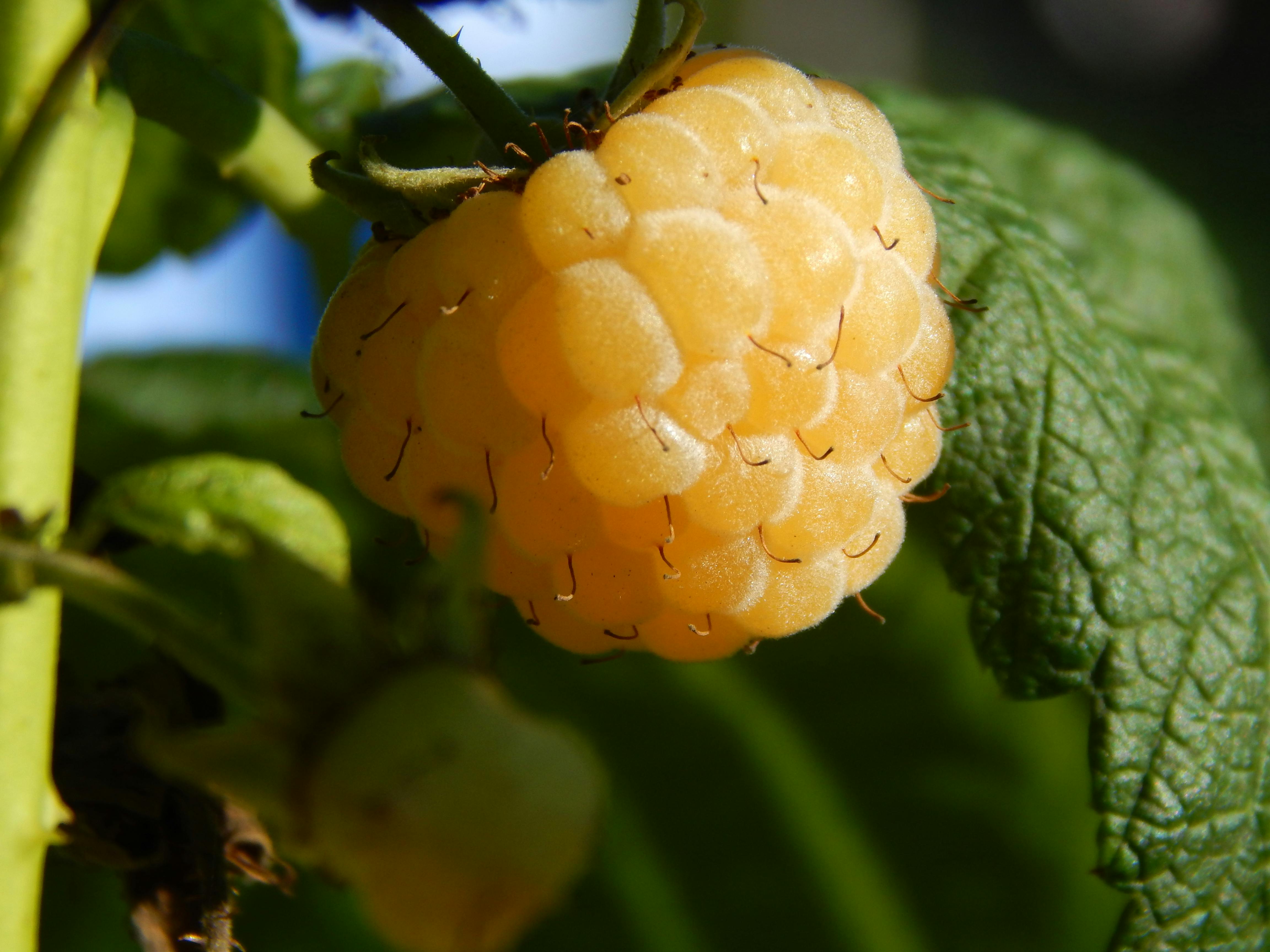 Eagle Idaho Property Management