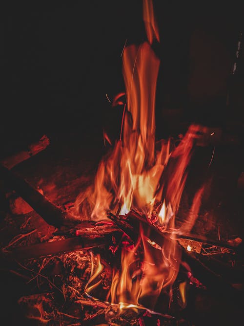 Close-Up Shot of Burning Woods