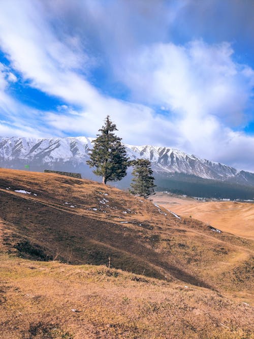 Бесплатное стоковое фото с вертикальный выстрел, гора, деревья