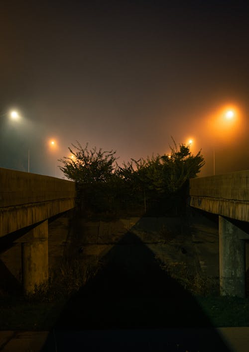 Symmetrical View of Bridges and Lampposts in Fog 