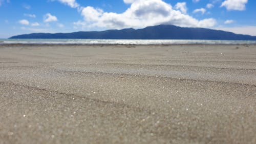 Foto stok gratis bidikan sudut sempit, fotografi sudut rendah, pantai