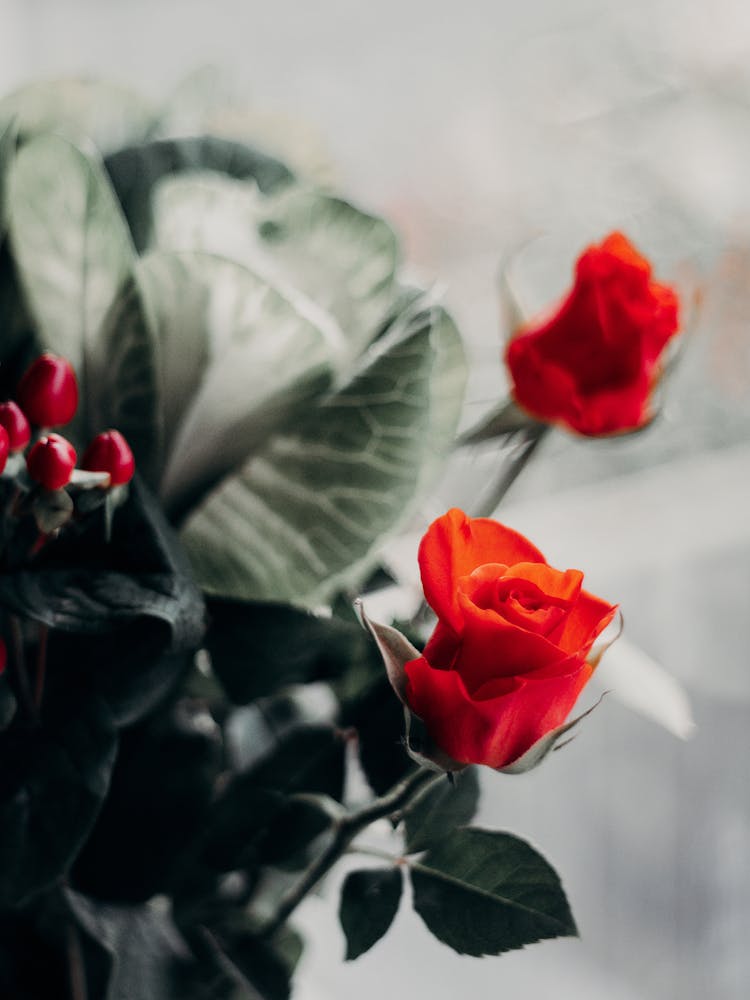 Red Roses In Bouquet