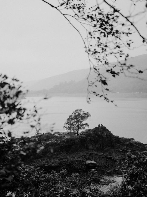 Peaceful black and white view of a lake with a lone tree on a hill.