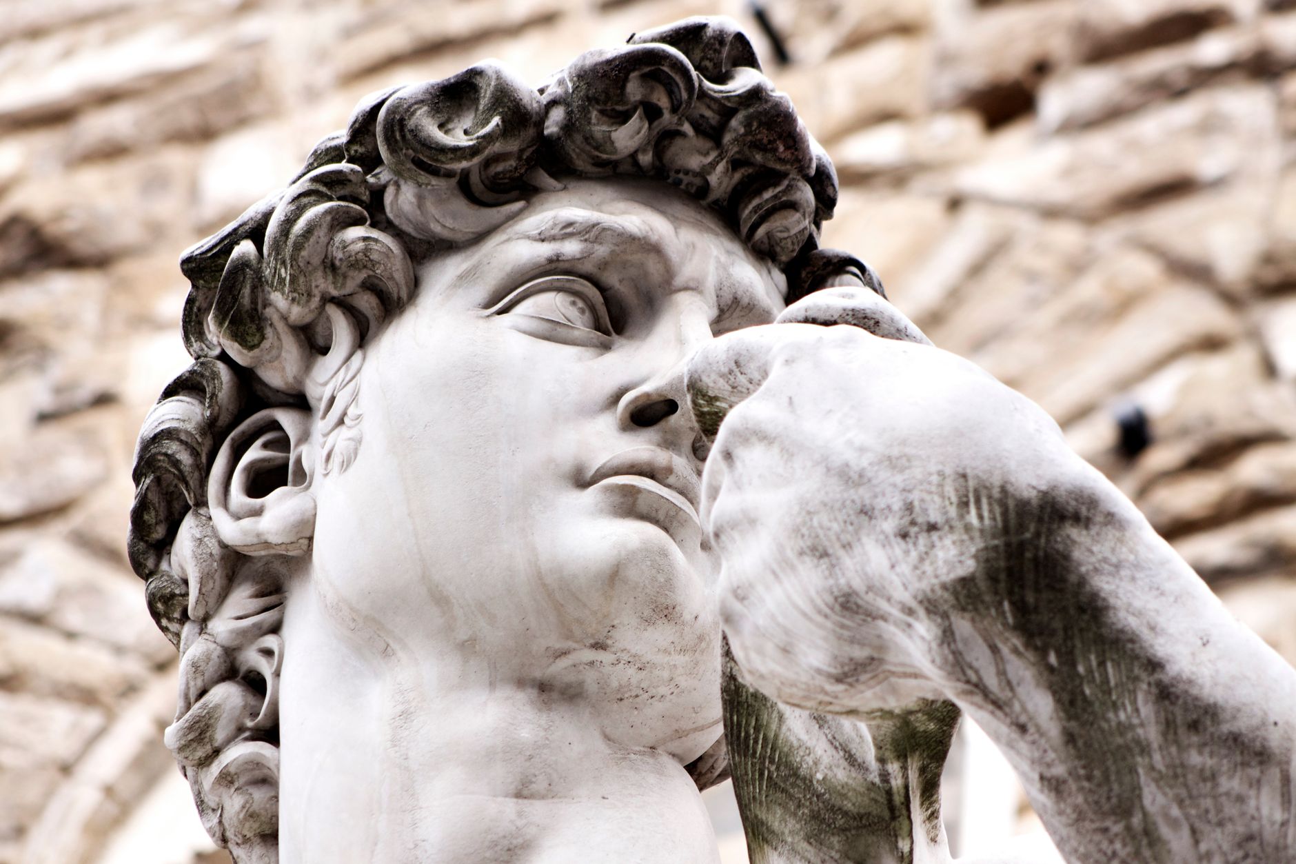 Michelangelo's David — 5.17 metres of Carrara marble — is the Accademia's centrepiece.