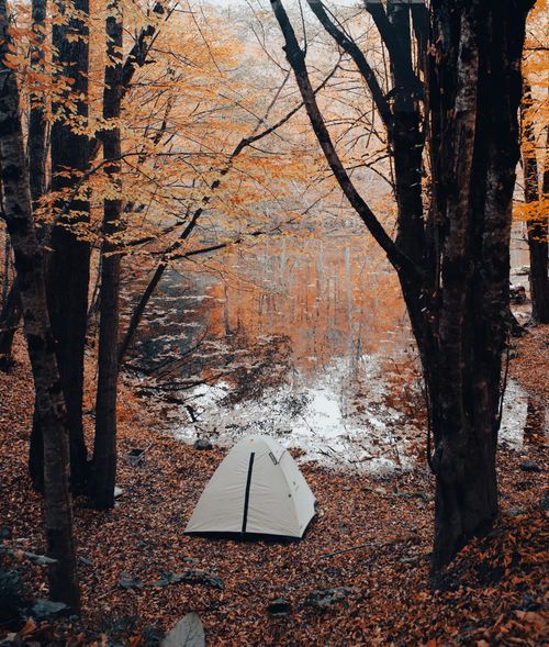Free A serene autumn camping scene with a tent by a reflective river surrounded by colorful fall foliage. Stock Photo
