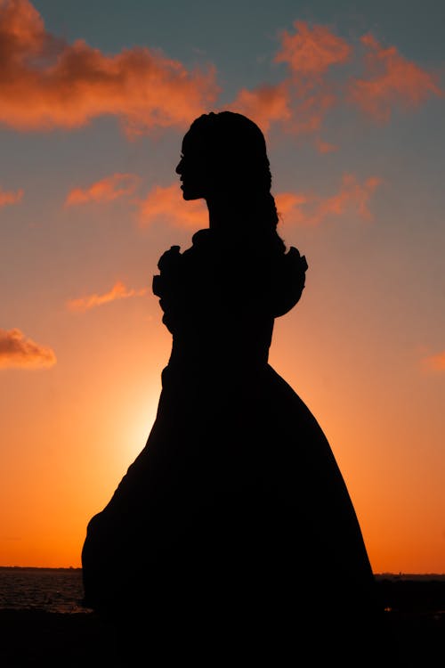 Free Silhouette of a Woman Stock Photo