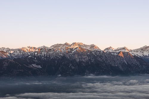 冬季, 大雪覆盖, 天性 的 免费素材图片