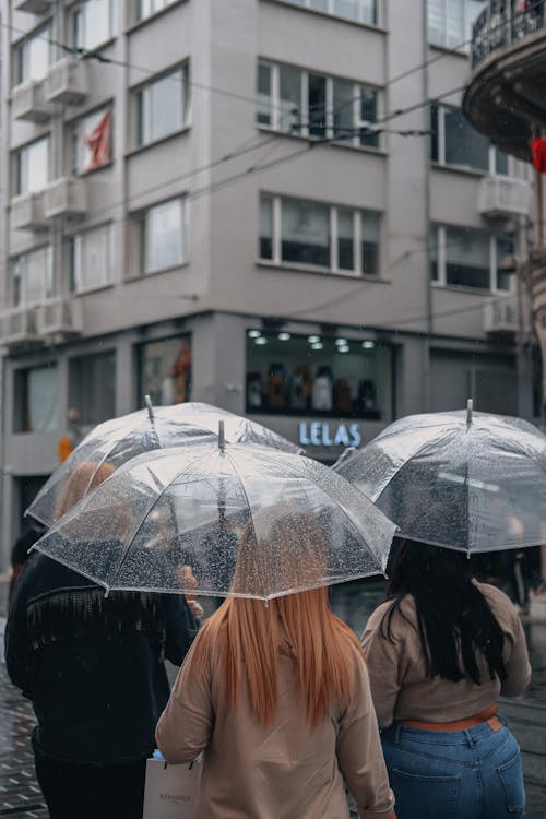 Free People Walking on the Street while Using Umbrellas Stock Photo